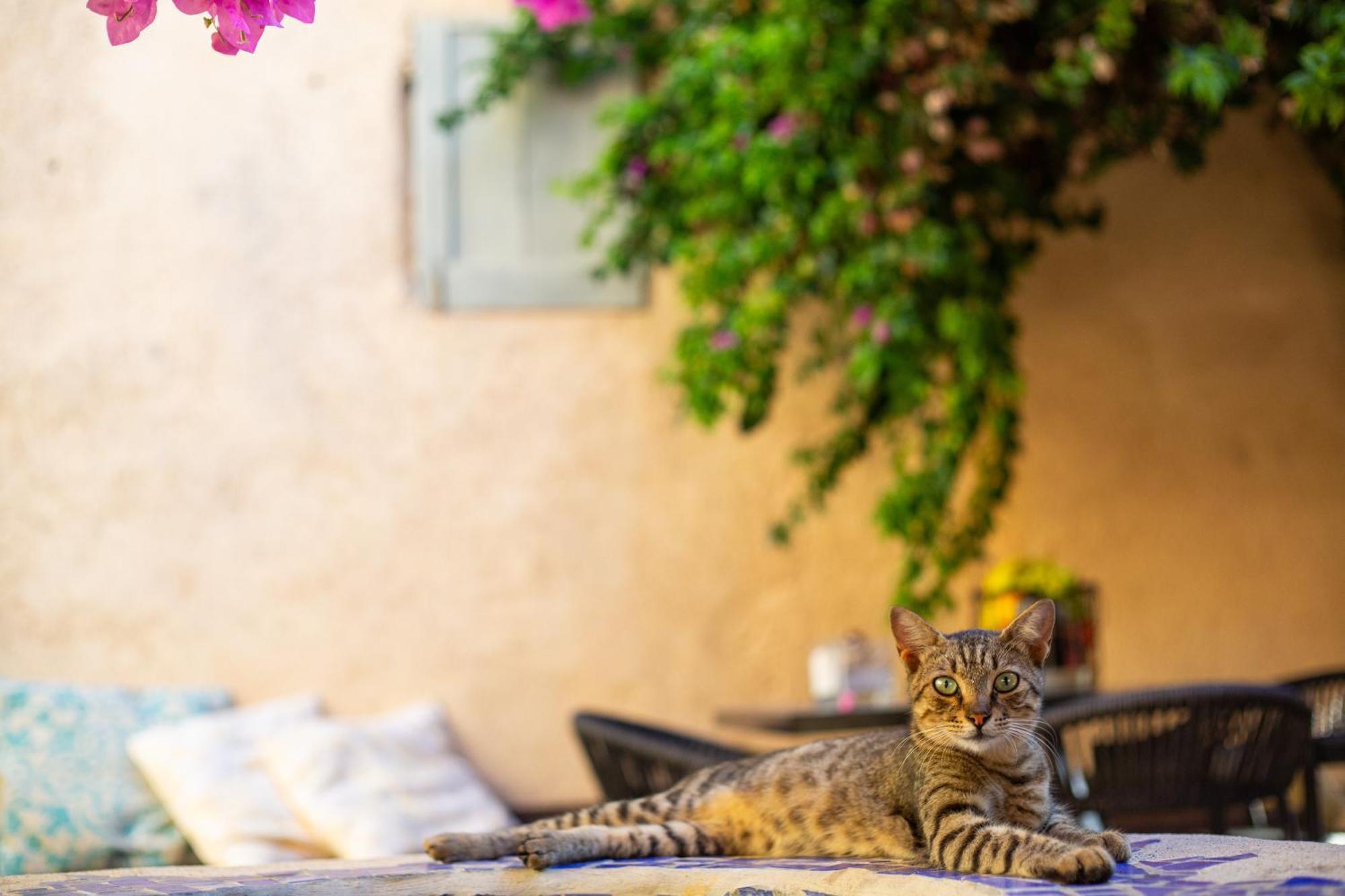The Old Town House Apartment Rhodes City ภายนอก รูปภาพ