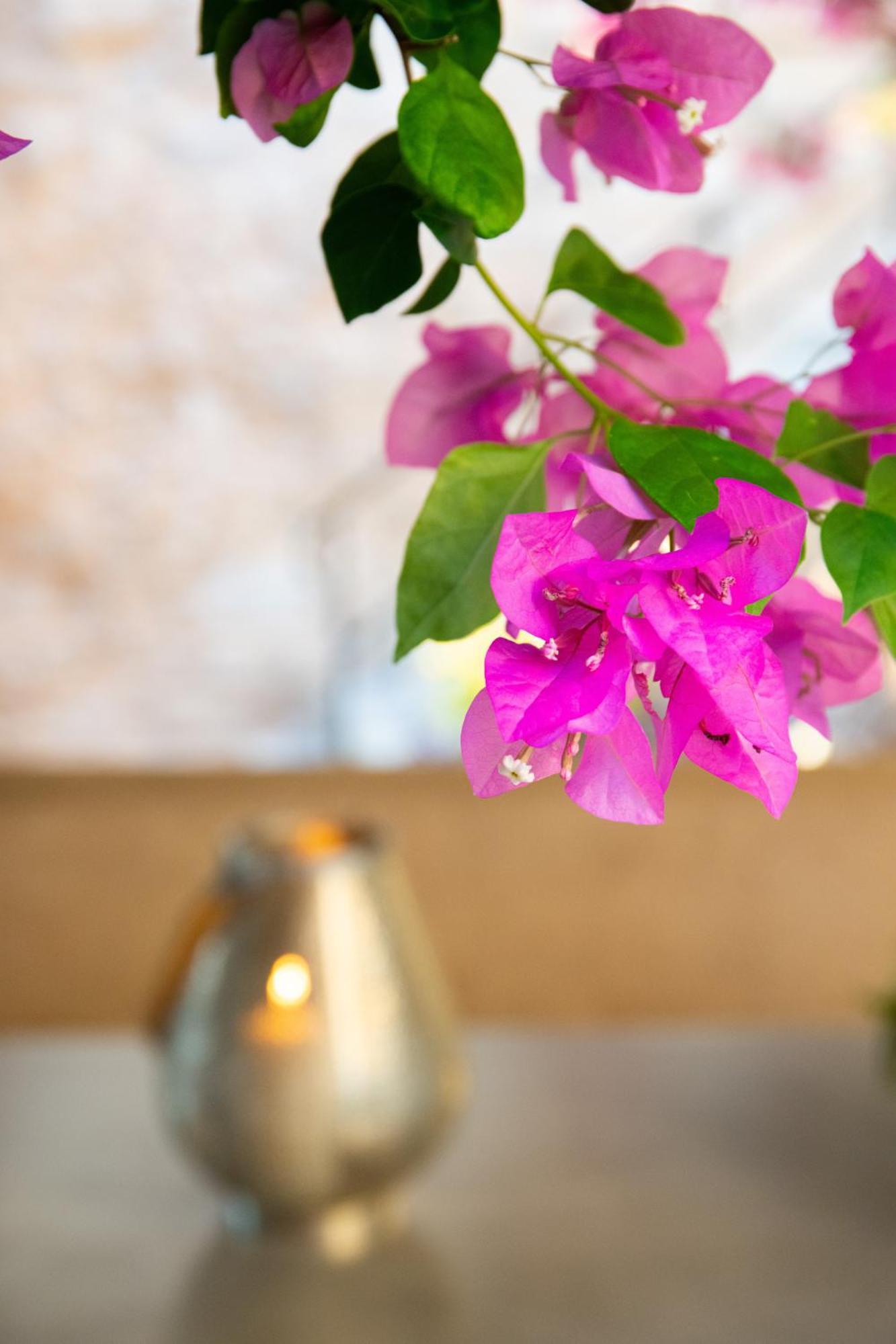 The Old Town House Apartment Rhodes City ภายนอก รูปภาพ